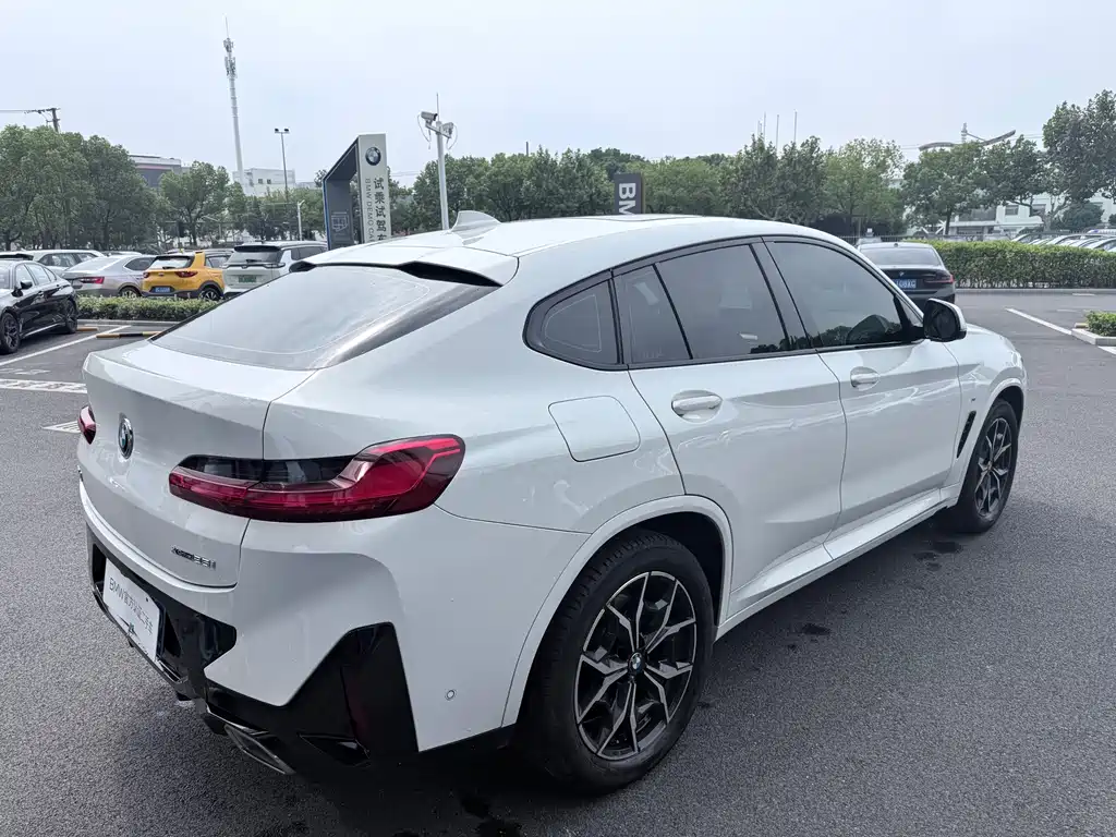 BMW X4 — миниатюра 12