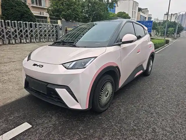 2024 BYD Seagull