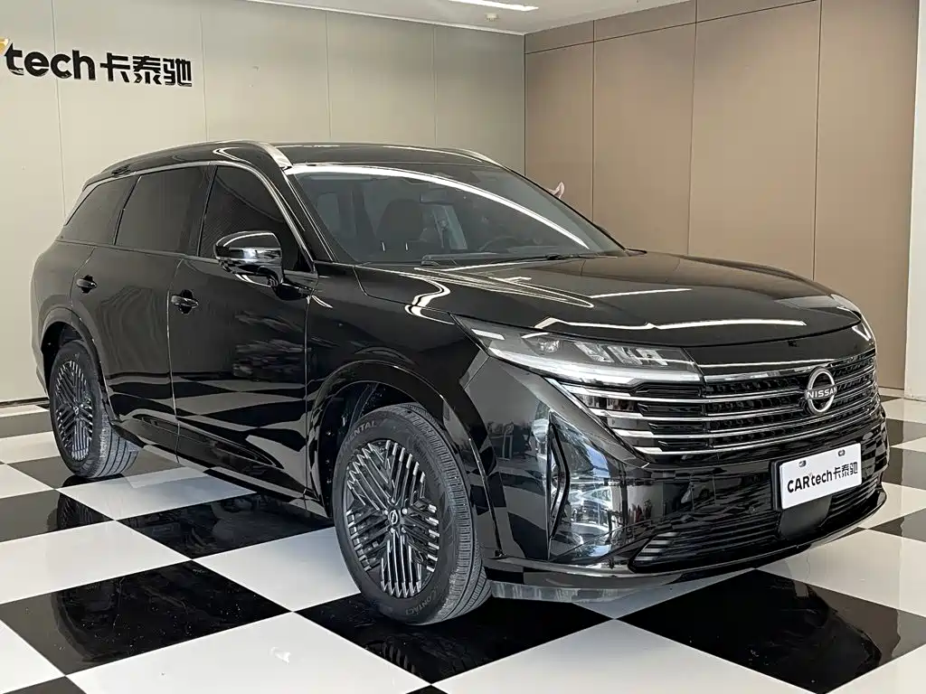 Nissan Teramont — миниатюра 2