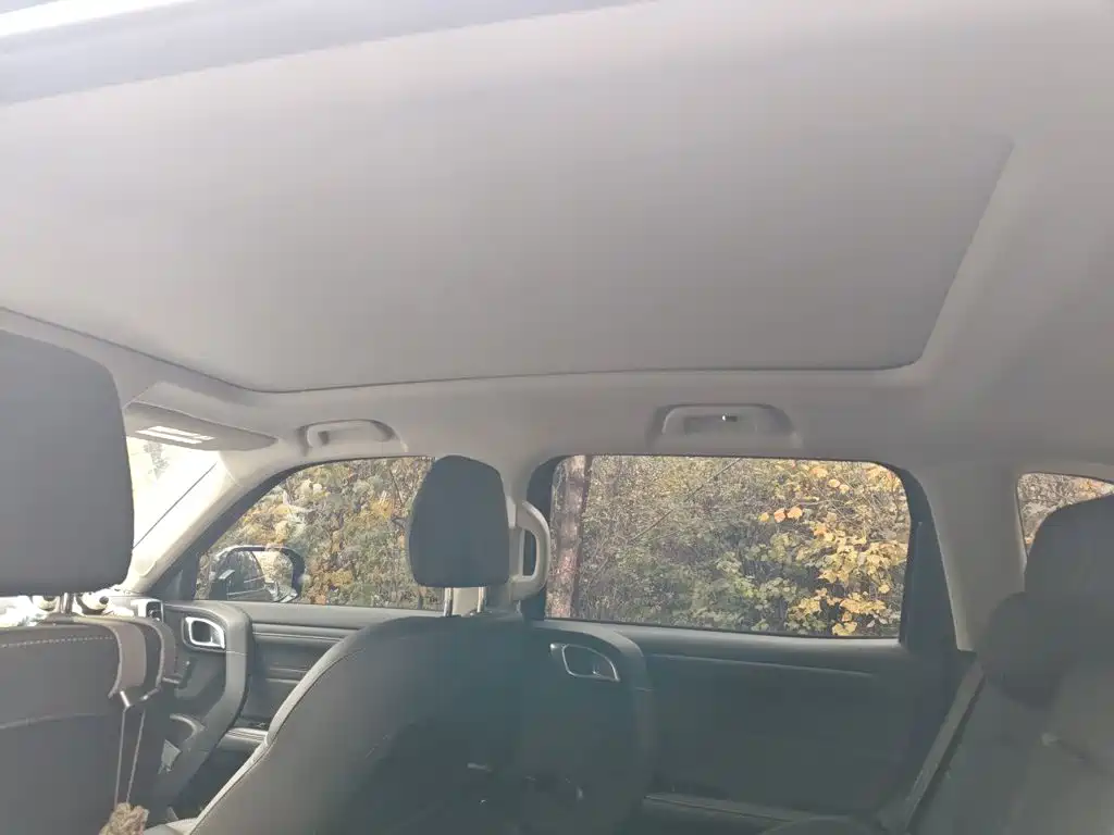 Haval Big Dog — миниатюра 19