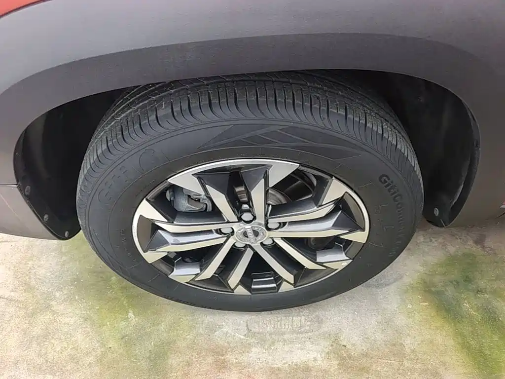 Haval Big Dog — миниатюра 23