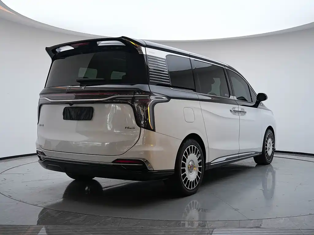 Hongqi Hongqi HQ9 — миниатюра 24