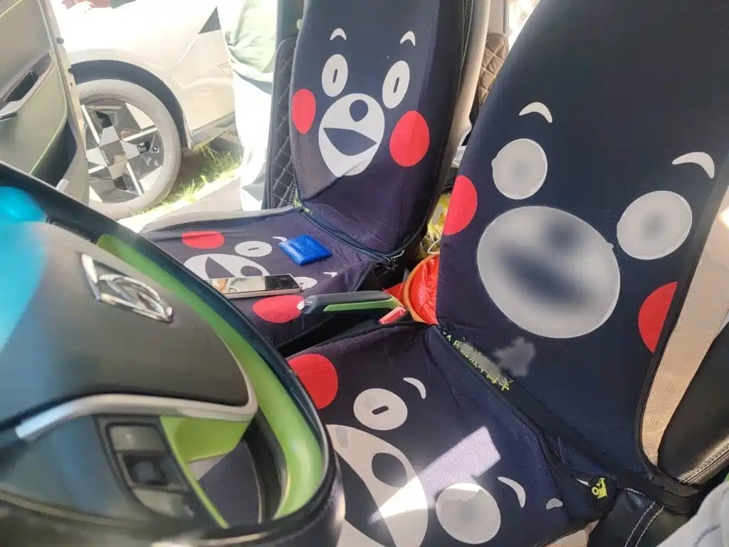 Baojun E100 2019 250KM