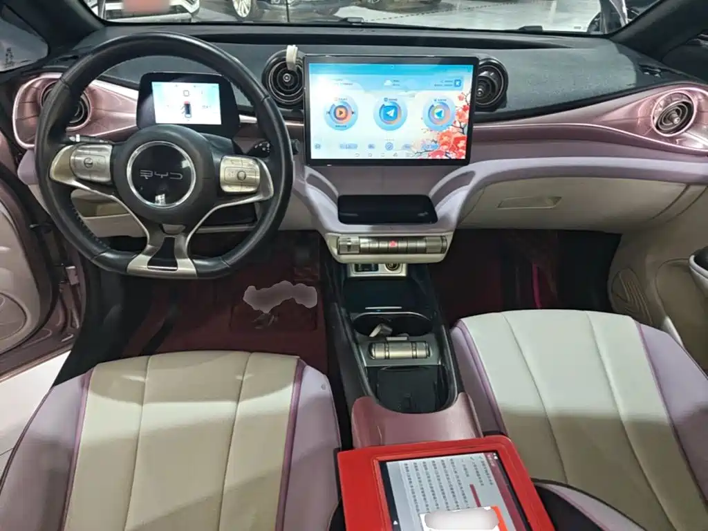 BYD Dolphin — миниатюра 10