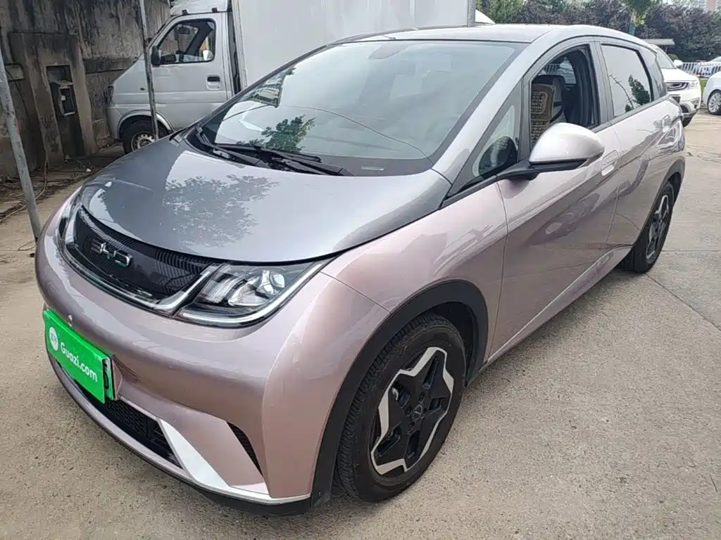 BYD Dolphin 2021 405km Fashion