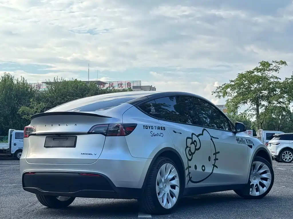 Tesla Model Y — миниатюра 11