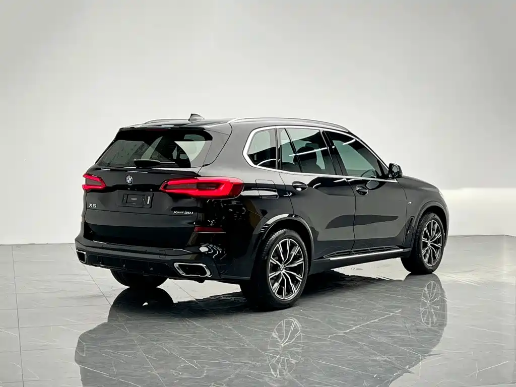 BMW X5 (Import) — миниатюра 6
