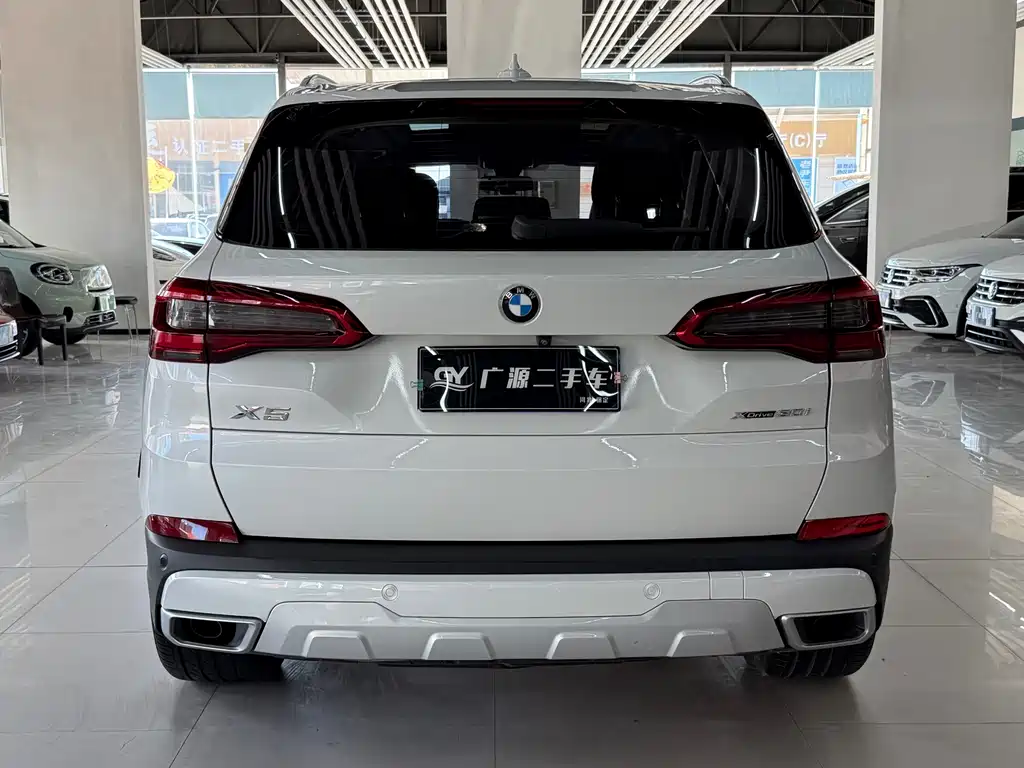 BMW X5 (Import) — миниатюра 5