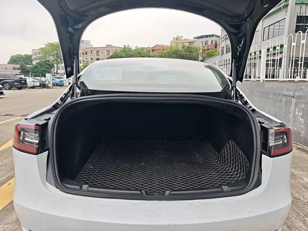 Tesla Model 3 — миниатюра 6