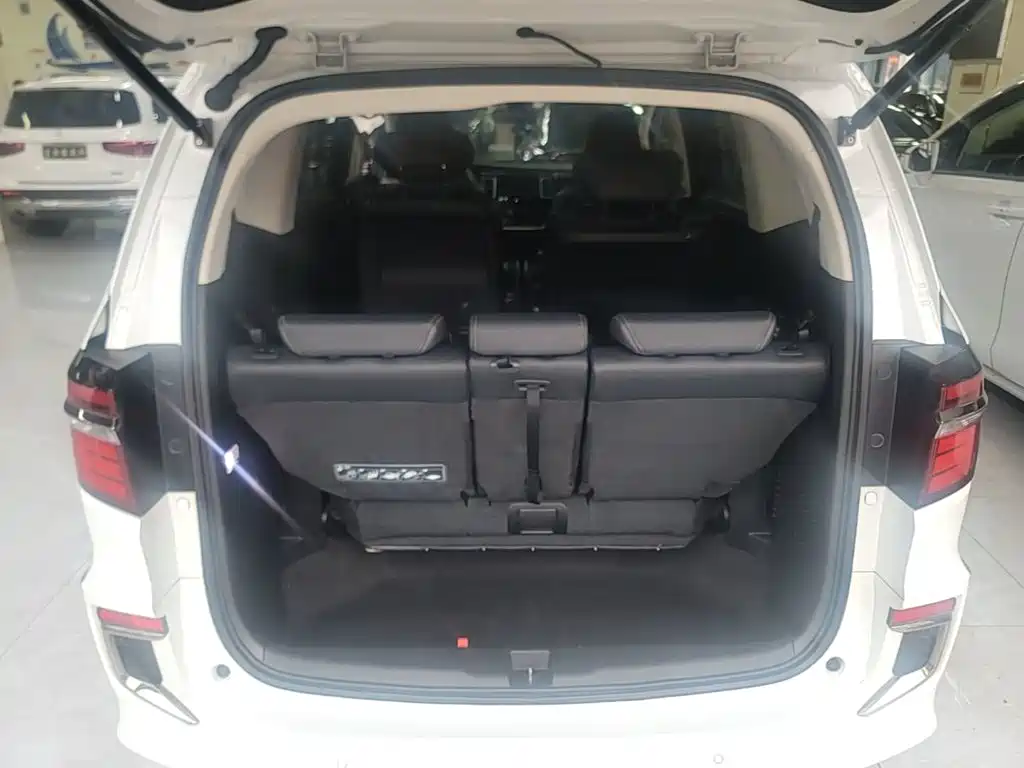 Honda Elysion — миниатюра 19
