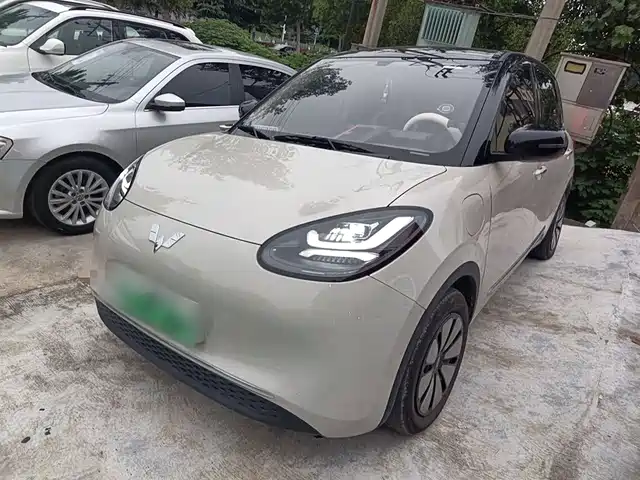WULING AUTOMOBILE WULING BINGGUO 2024