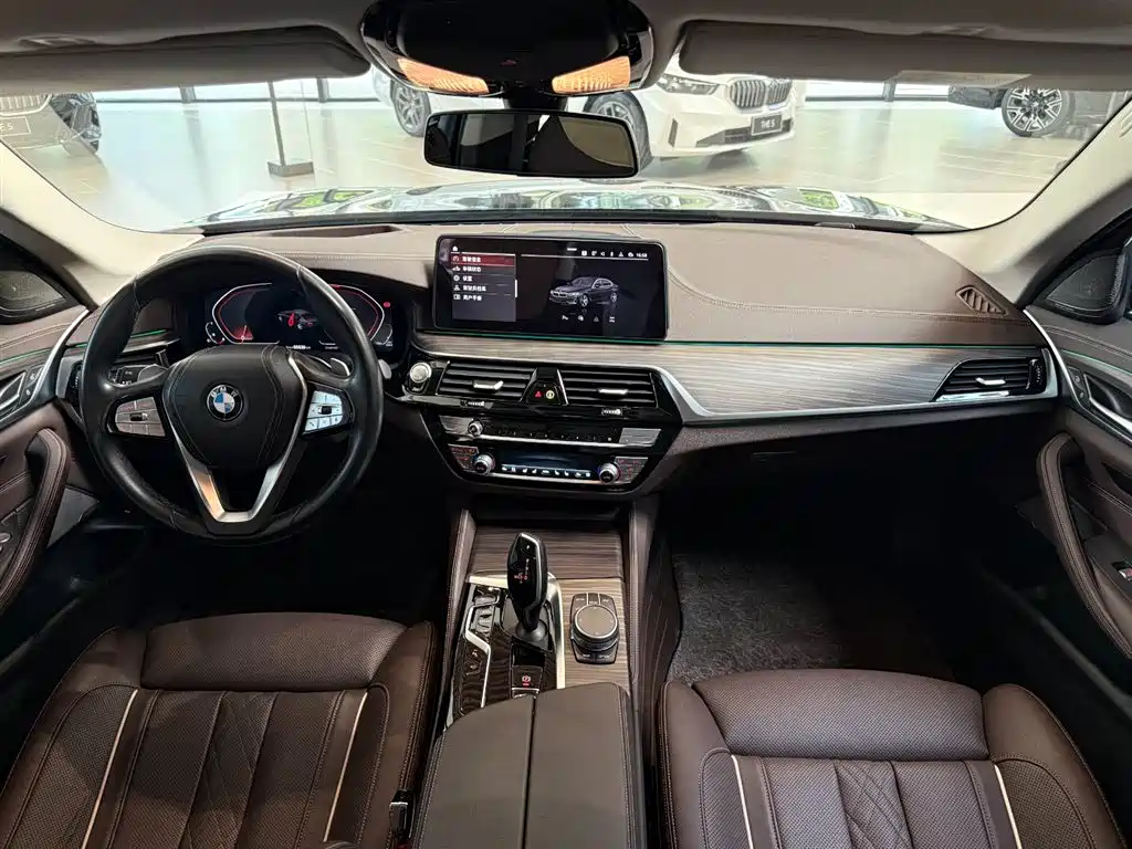 BMW 5 Series 5 2021 530Li Premium Luxury