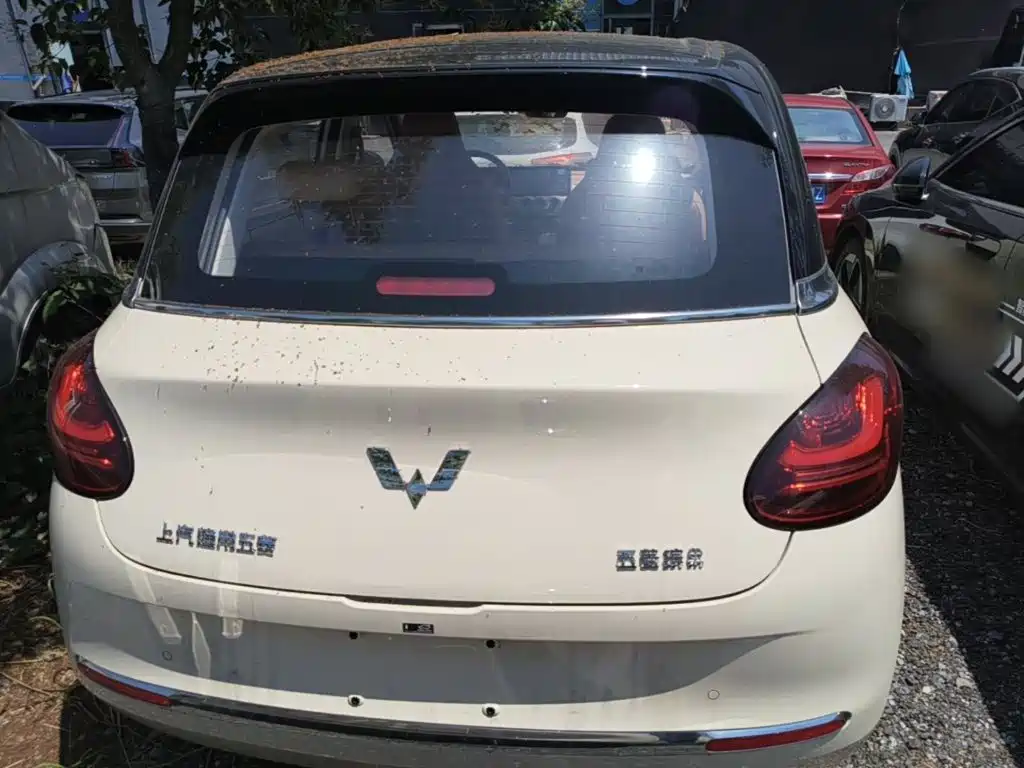Wuling Binguo 2025 333km