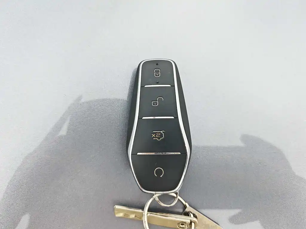 BYD SONGJIANG NEW ENERGY