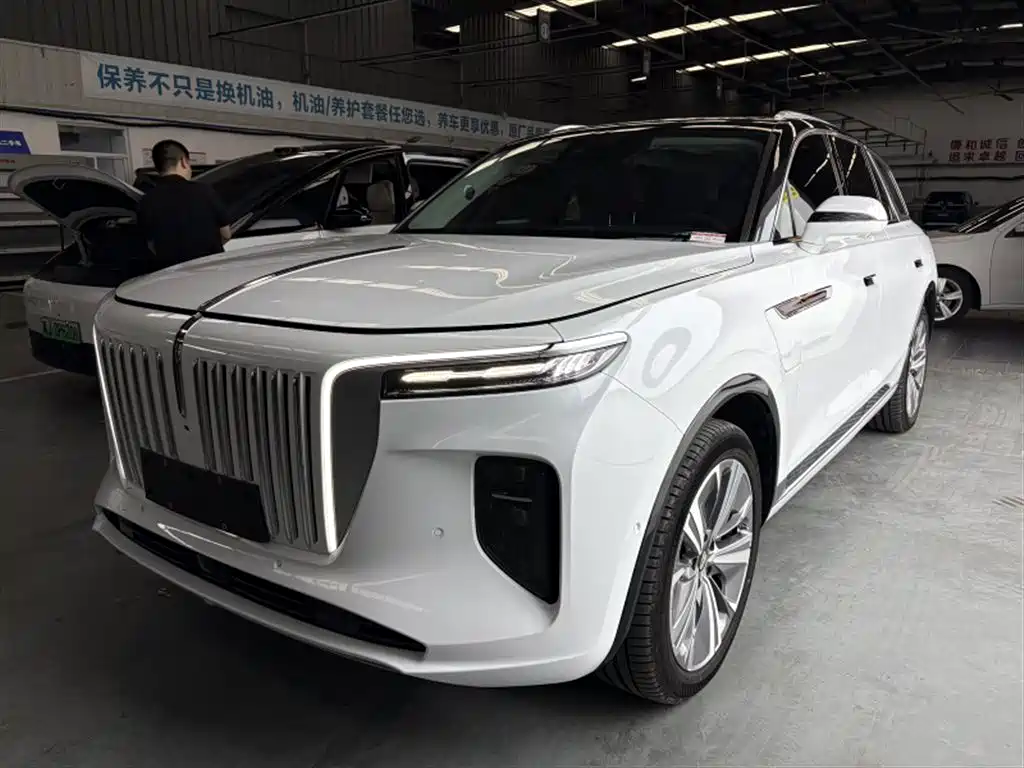 Hongqi Hongqi E-HS9
