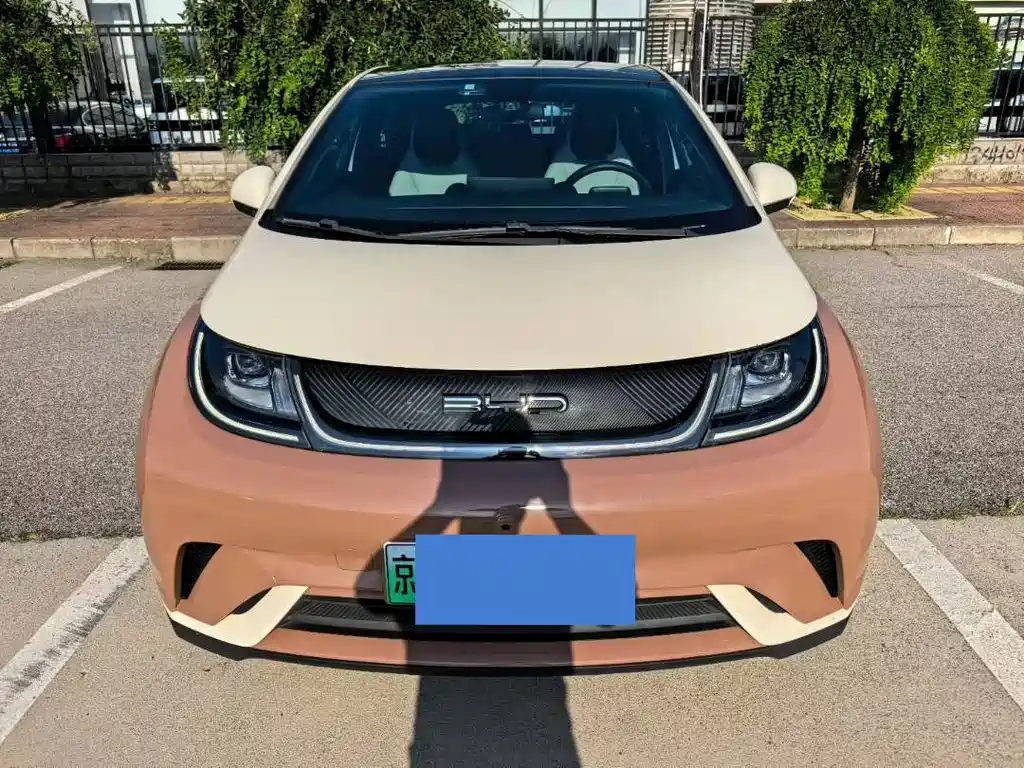 BYD Dolphin — миниатюра 2