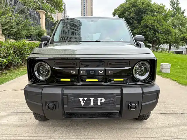 2024 Geely LC (Panda)