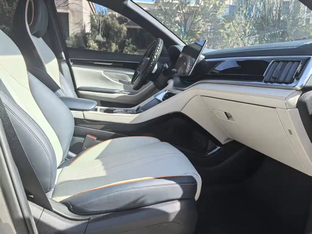 BYD PLUS New Energy — миниатюра 14