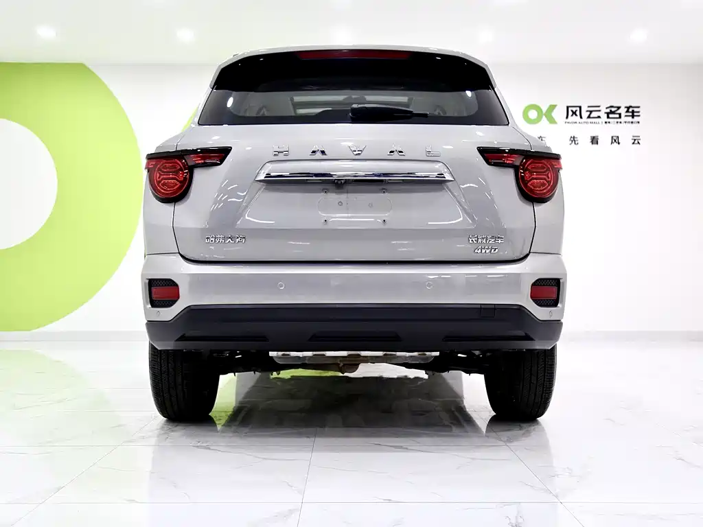HAVAL  SECOND GENERATION BIG DOG