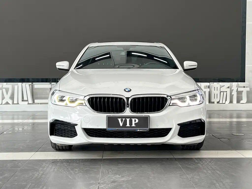 BMW 5 Series — миниатюра 2