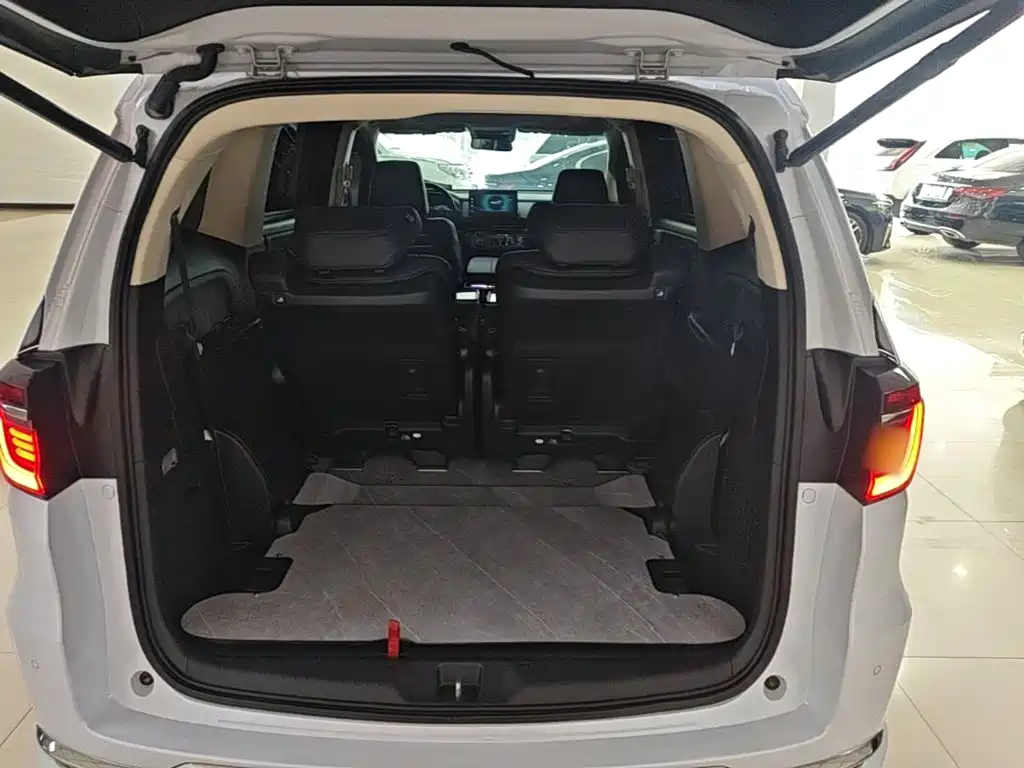 Honda Elysion — миниатюра 19
