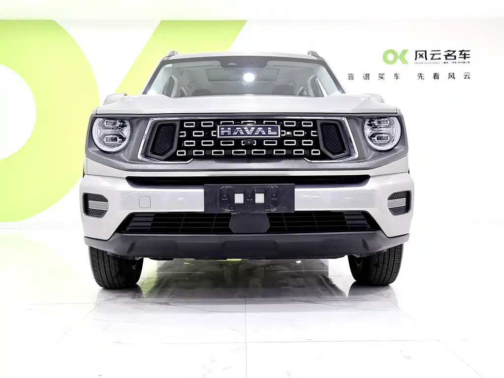 HAVAL  SECOND GENERATION BIG DOG
