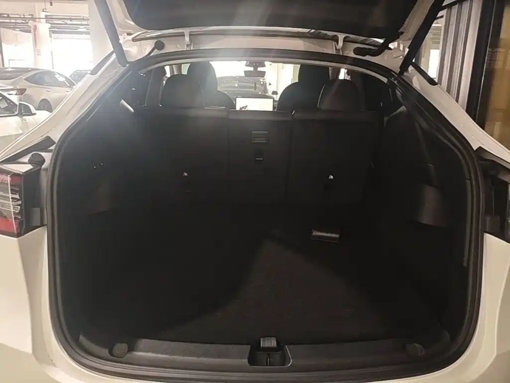 Tesla Model Y — миниатюра 19