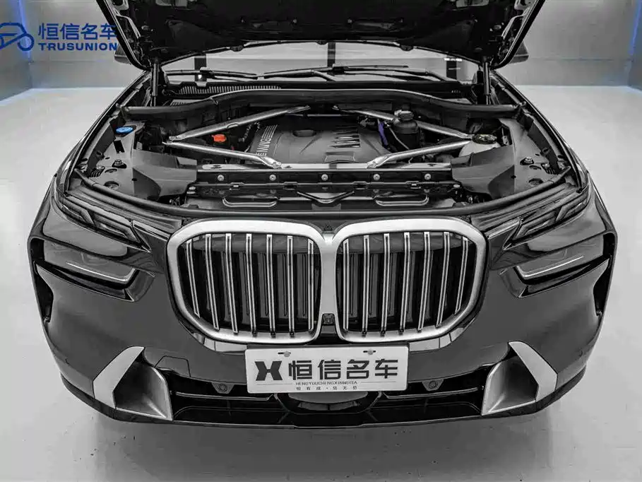 BMW X7 — миниатюра 22