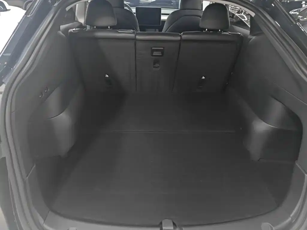 Tesla Model Y — миниатюра 19