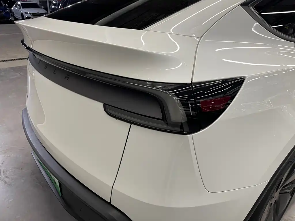 Tesla Model Y — миниатюра 32