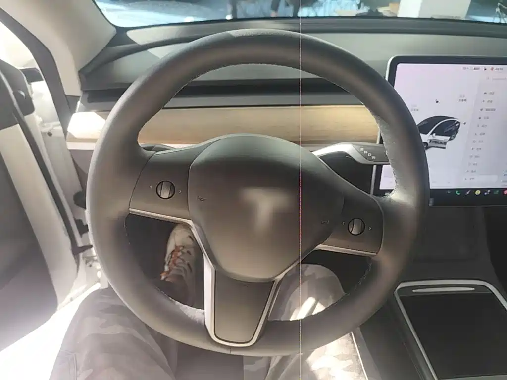 Tesla Model Y — миниатюра 11