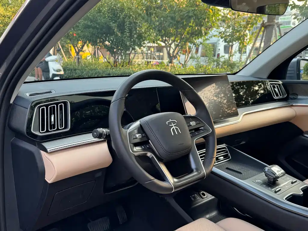 BYD Pro New Energy — миниатюра 11