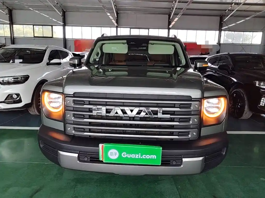 Haval Menglong New Energy — миниатюра 3