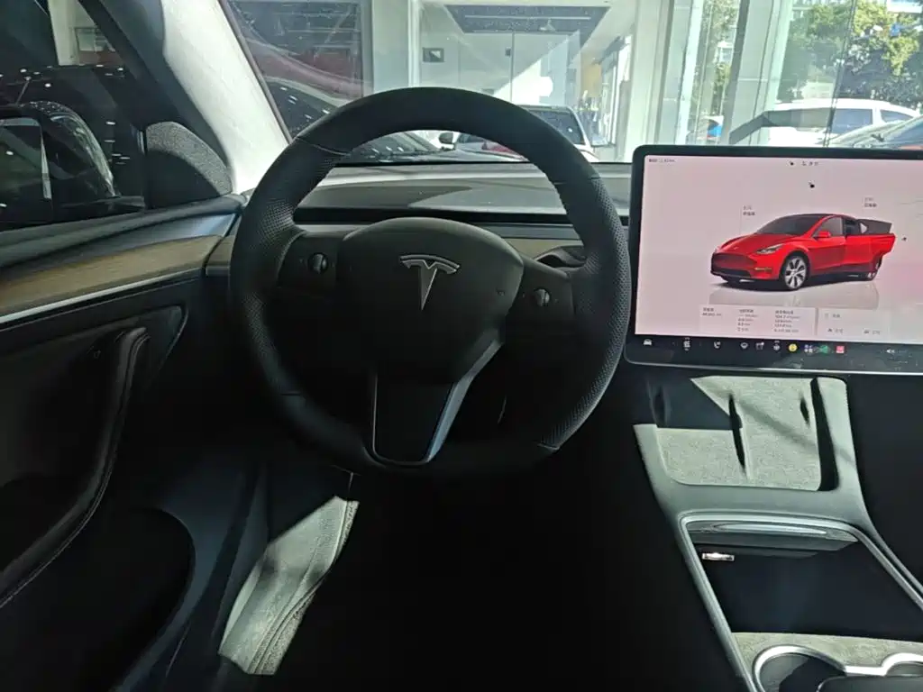 Tesla Model Y — миниатюра 11