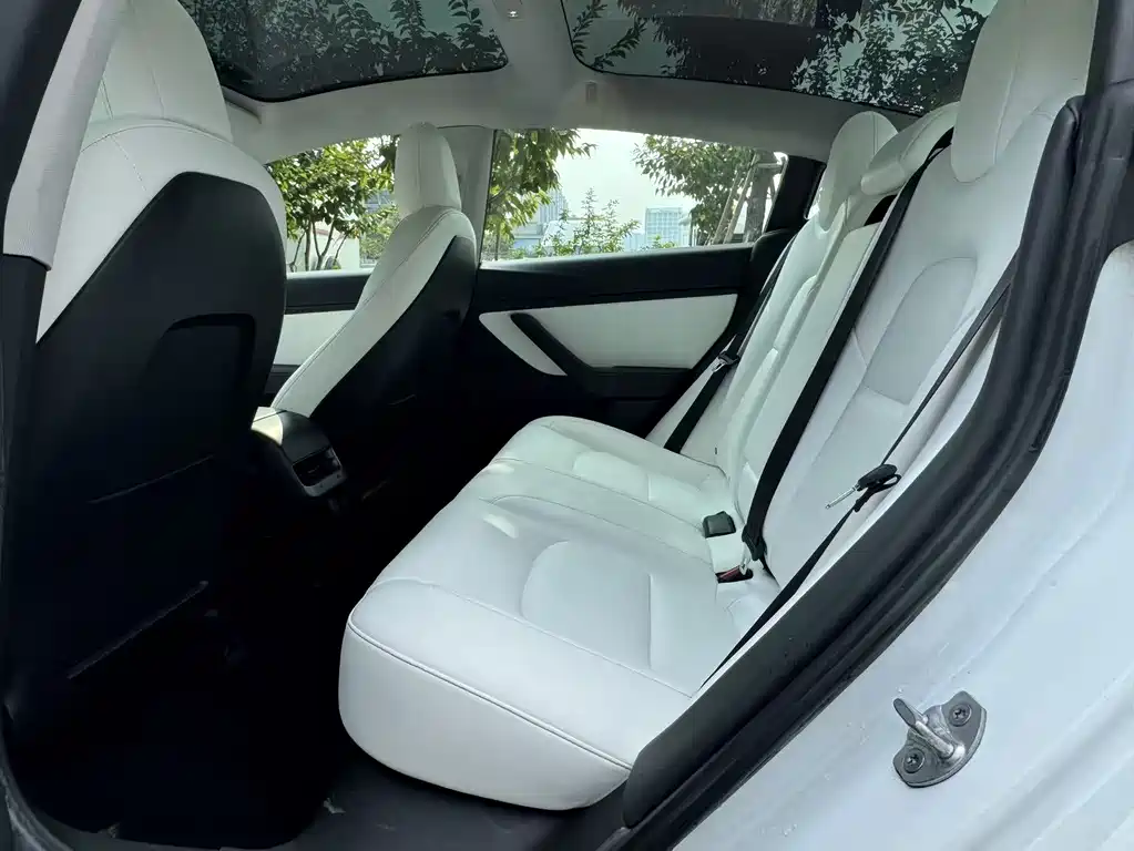 Tesla Model 3 — миниатюра 17