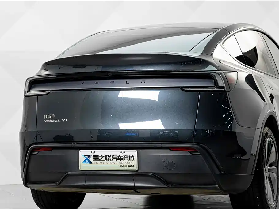 Tesla Model Y — миниатюра 7