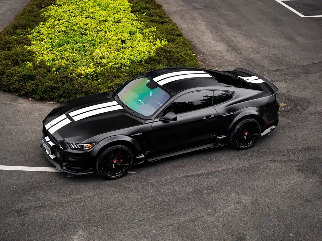 Ford Mustang 2.3T Performance Edition, фото 31