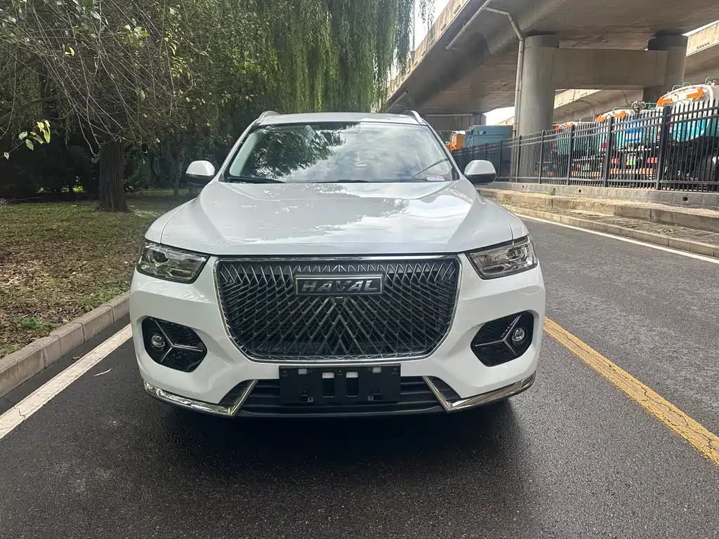 Haval H6 — миниатюра 2