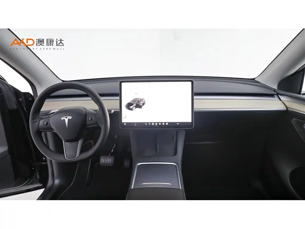Tesla Model Y — миниатюра 5