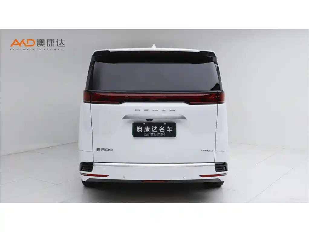 Denza Denza D9 — миниатюра 4