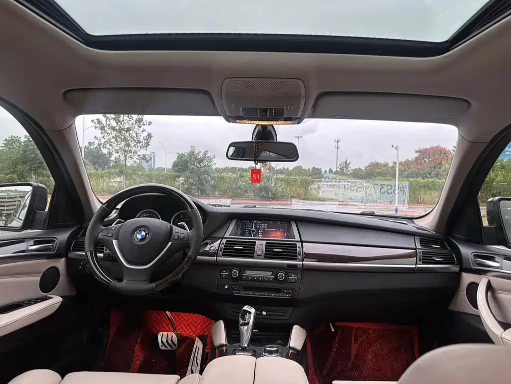 BMW X6 — миниатюра 24