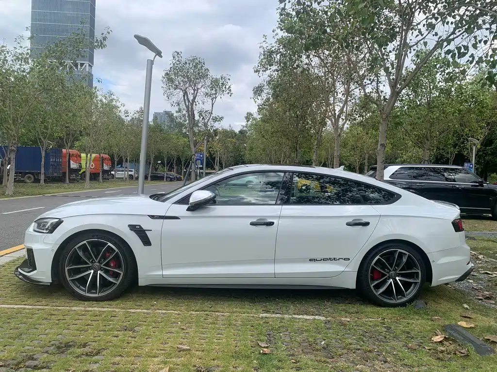 Audi S5 — миниатюра 5