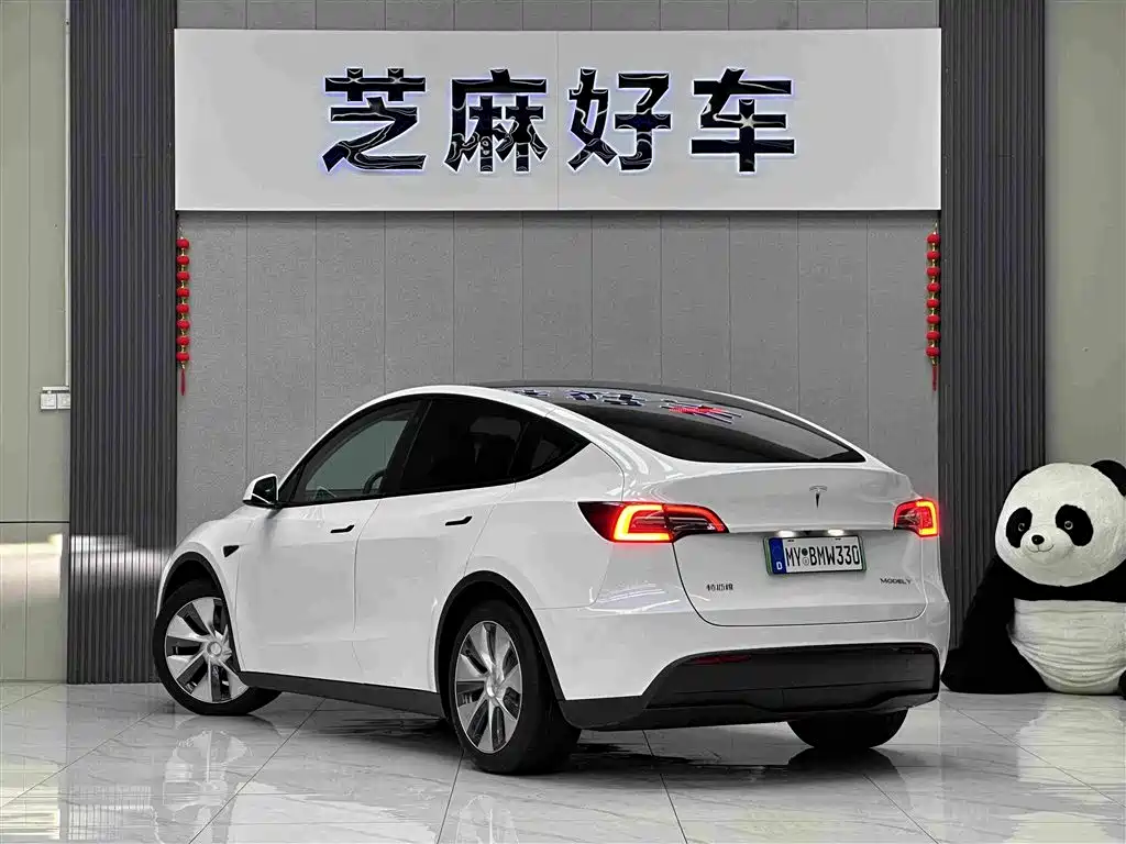 Tesla Model Y — миниатюра 4