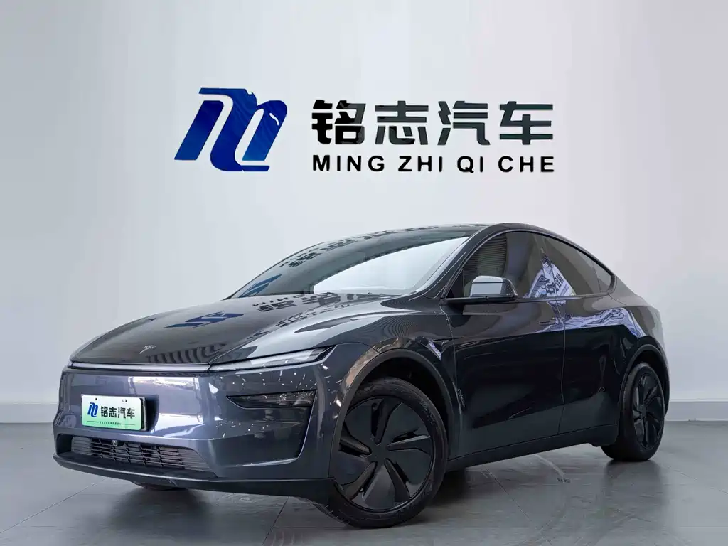 Tesla Model Y — миниатюра 2