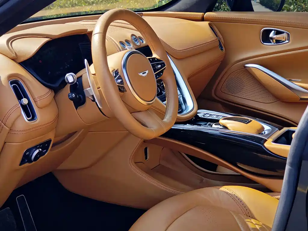 Aston Martin DBX — миниатюра 12