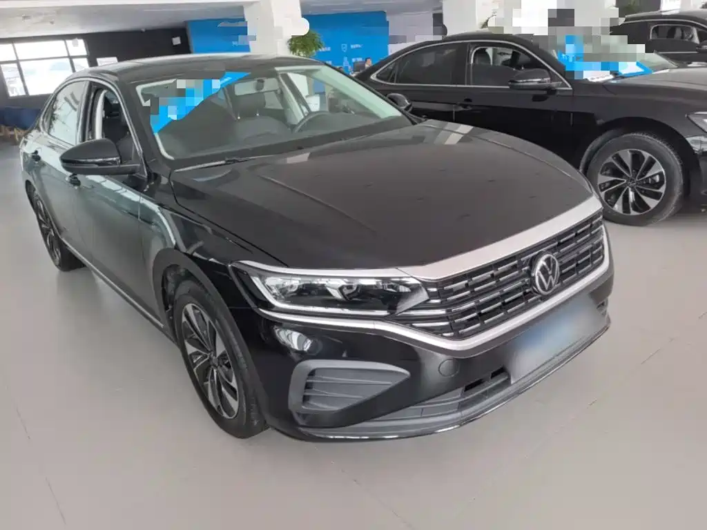 Volkswagen Passat — миниатюра 4
