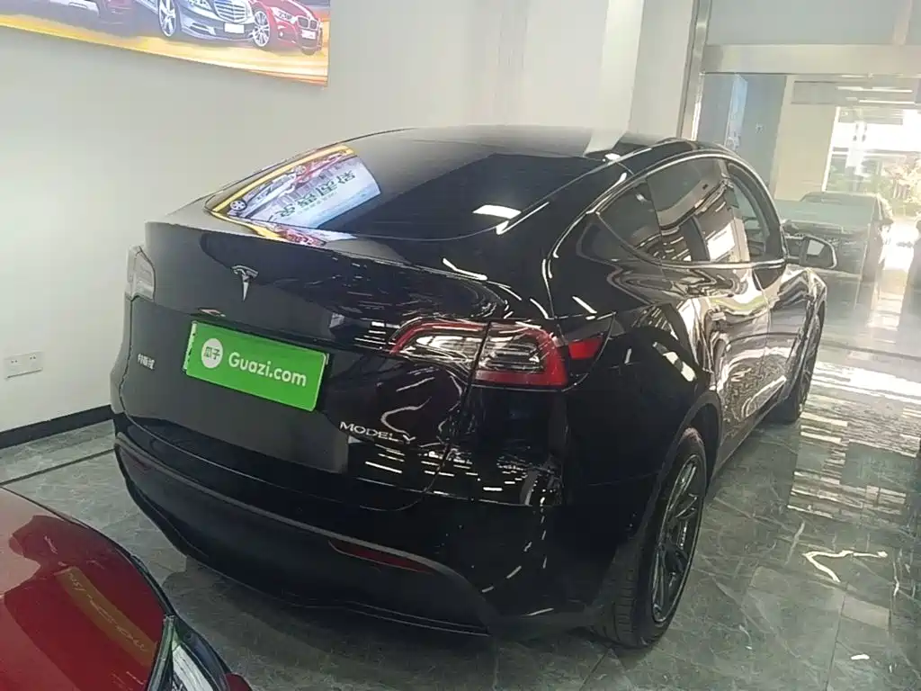Tesla Model Y — миниатюра 7