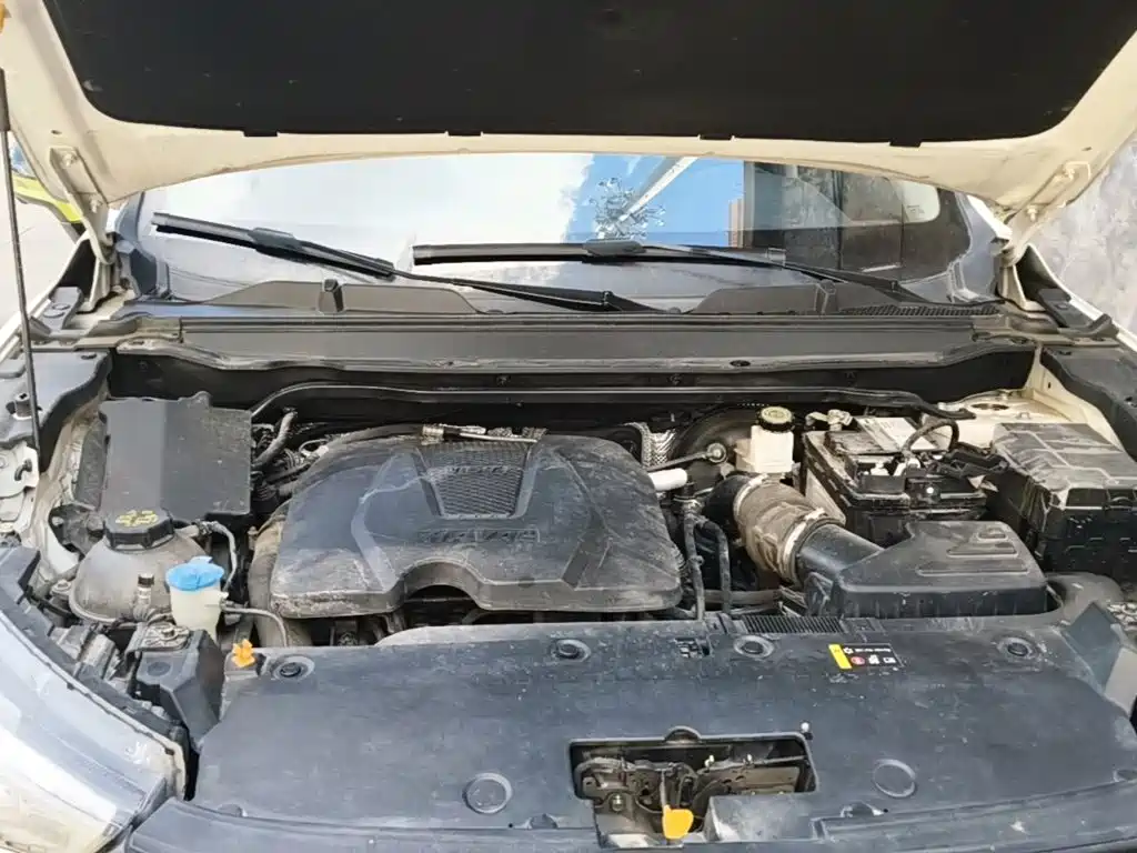 Haval Chitu — миниатюра 20