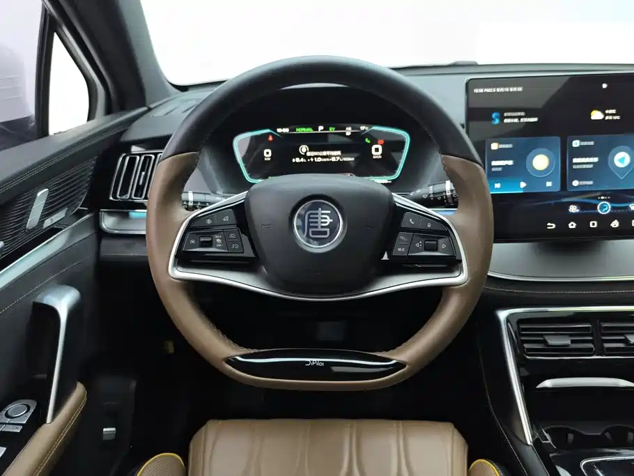 BYD Tang New Energy — миниатюра 15