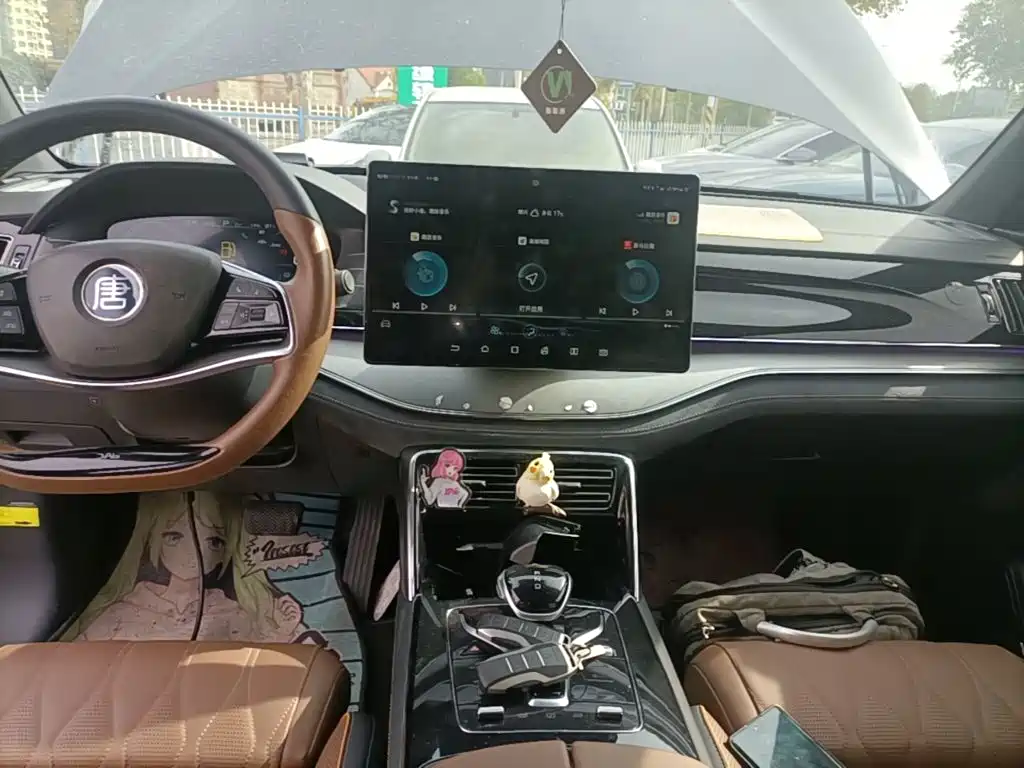 BYD Tang New Energy — миниатюра 13